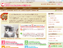 Tablet Screenshot of norwegian-forest-cat.koneko-breeder.com
